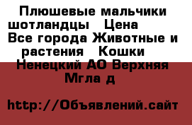 Плюшевые мальчики шотландцы › Цена ­ 500 - Все города Животные и растения » Кошки   . Ненецкий АО,Верхняя Мгла д.